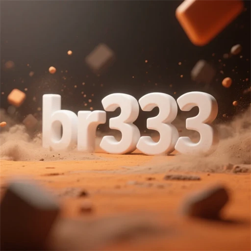 br333 logo